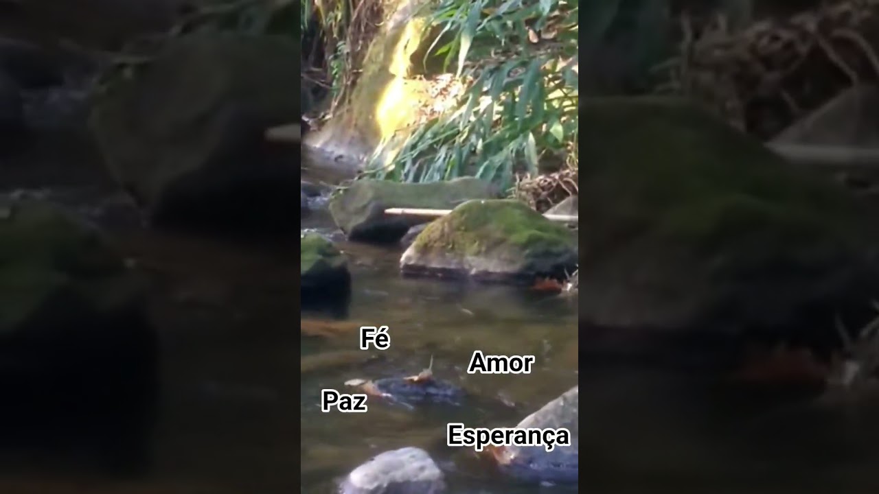 Som de paz (Água do rio)