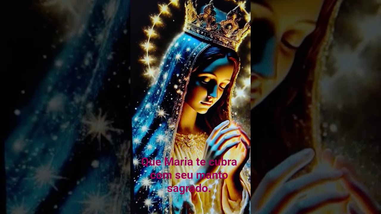 6 de novembro de 2025