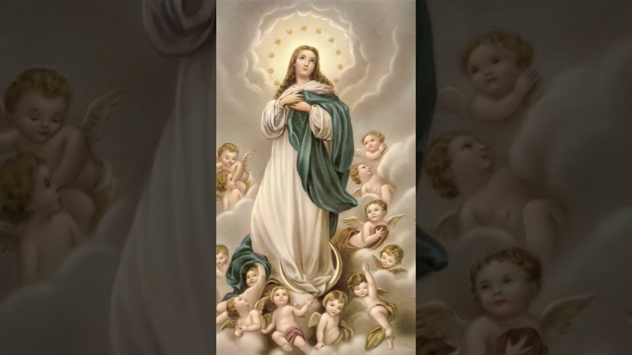 Maria Imaculada Mae de Jesus..#mariamaedejesus #gratidão